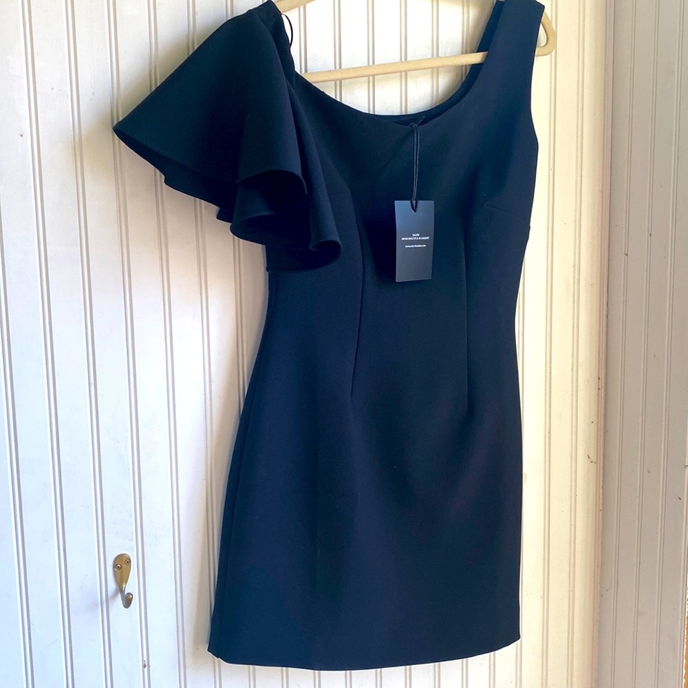 NWT Stunning SALONI mini dress!